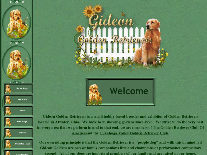 www.gideongoldens.com