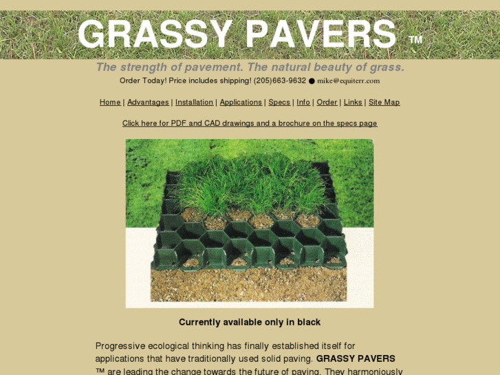 www.grassypavers.com