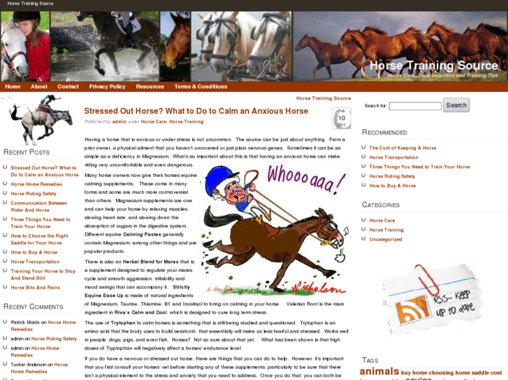 www.horsetrainingblog.com