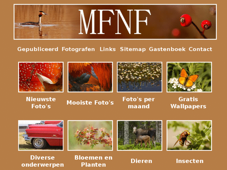 www.mfnf.nl