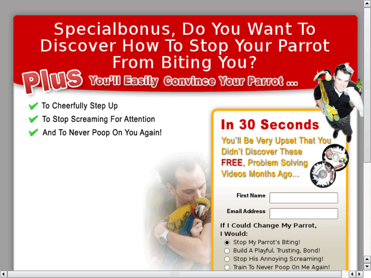 www.quickbirdtricks.com