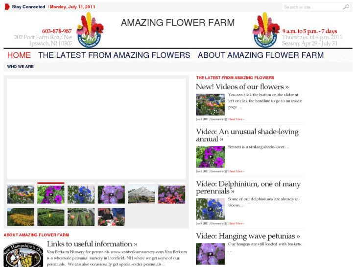 www.amazingflowerfarm.com