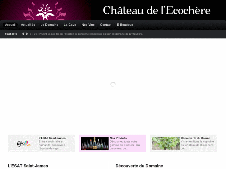 www.chateaudelecochere.com