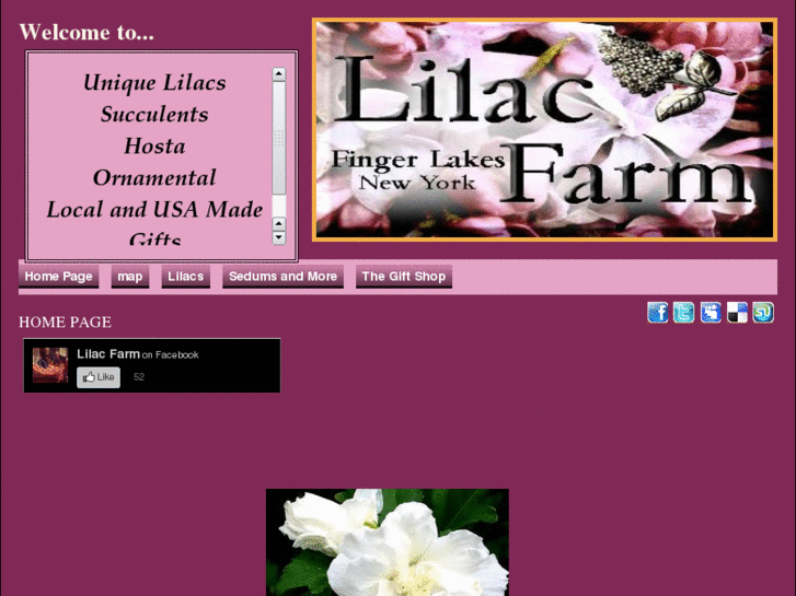 www.lilacfarmusa.com