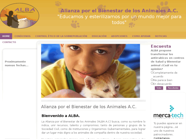 www.albaac.org