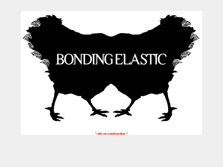 www.bonding-elastic.com