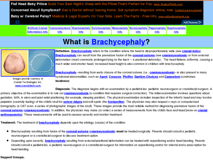 www.brachycephaly.info