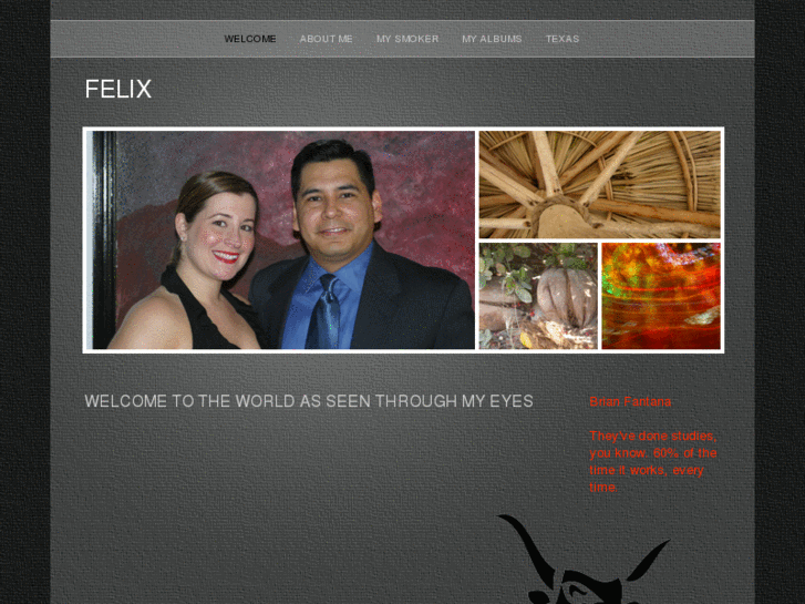 www.felixvenzor.net