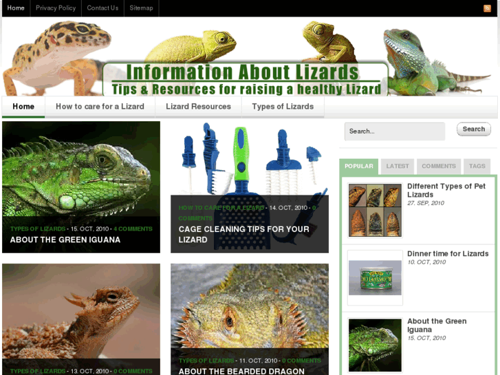 www.informationaboutlizards.com