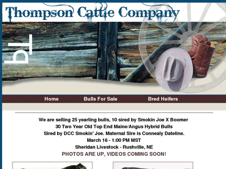 www.thompsoncattlecompany.com