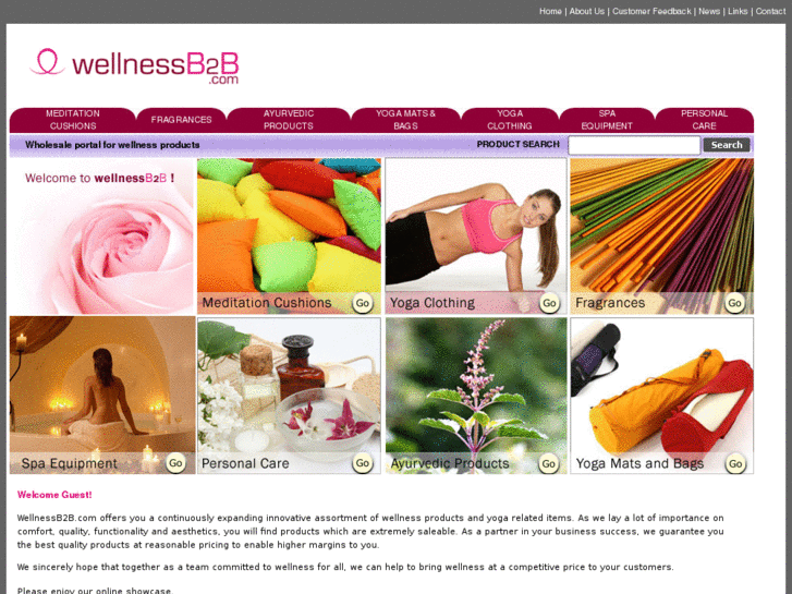 www.wellnessb2b.com