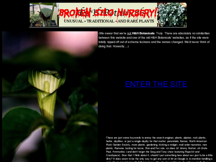 www.brokensilonursery.com