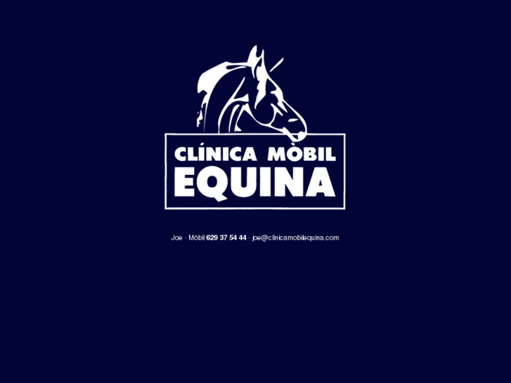 www.clinicamobilequina.com