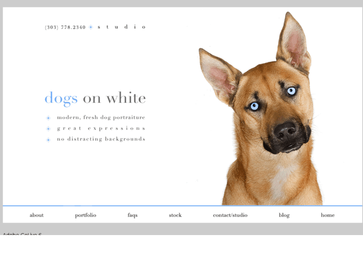 www.dogsonwhite.com