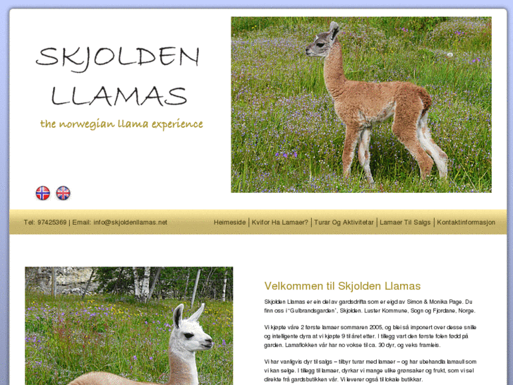 www.skjoldenllamas.net