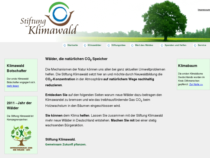 www.stiftung-klimawald.de