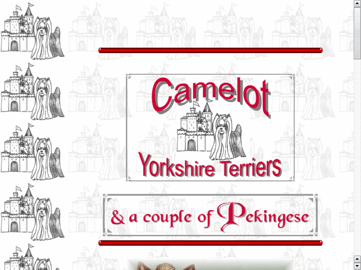 www.camelot-yorkies.com