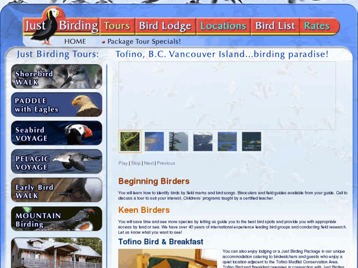 www.justbirding.com