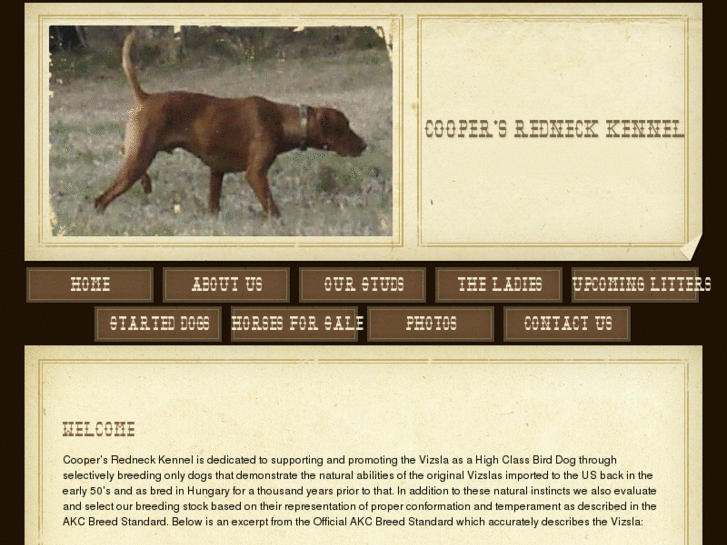 www.coopersredneckkennel.com