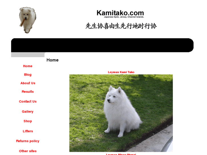 www.kamitako.com