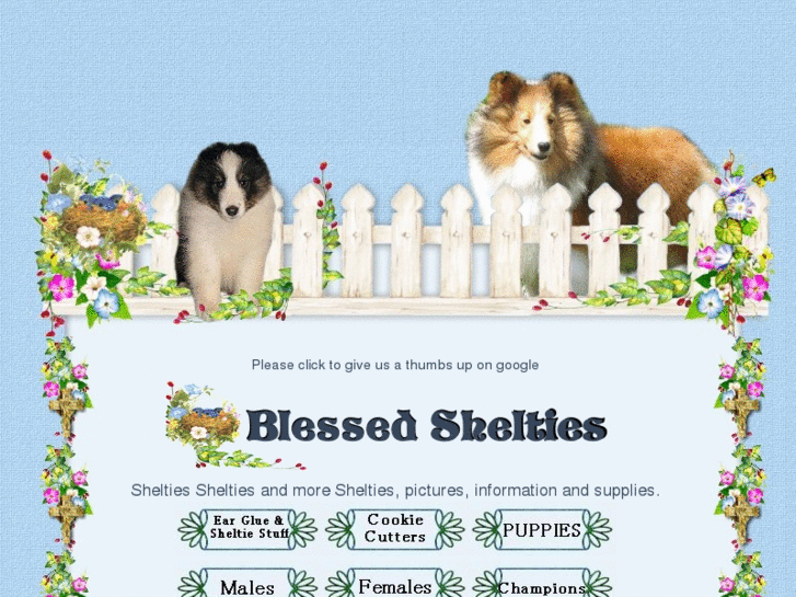 www.myshelties.com