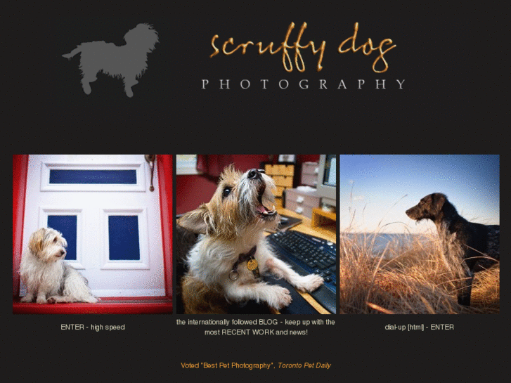 www.scruffydogphotography.com