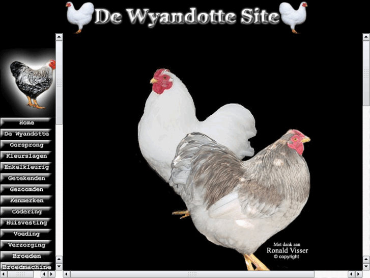 www.wyandotte.nl