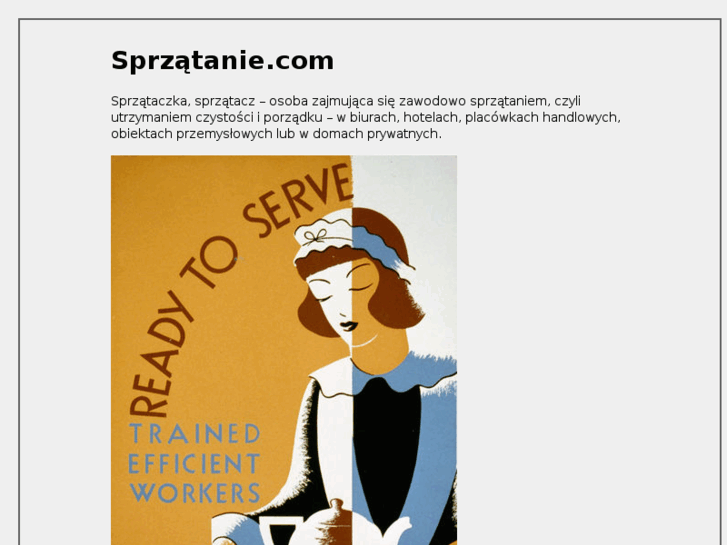 www.xn--sprztanie-edb.com