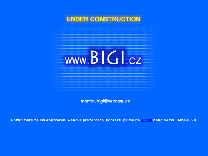 www.bigi.cz