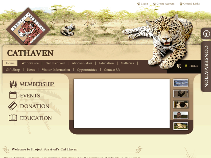 www.cathaven.com