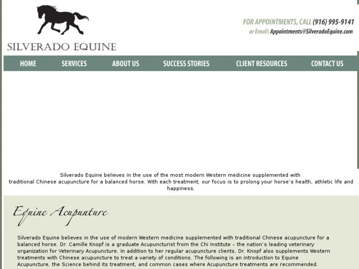 www.equine-acupuncture.com