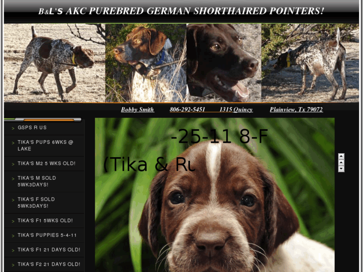 www.germanshorthairedpointer-gsp.com