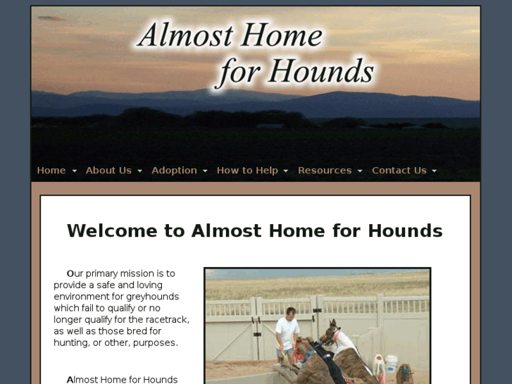 www.almosthomeforhounds.org