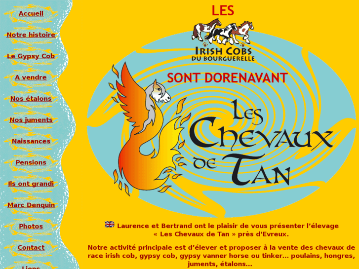 www.chevauxdetan.com