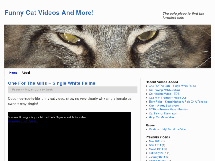 www.funnycatvideos.co