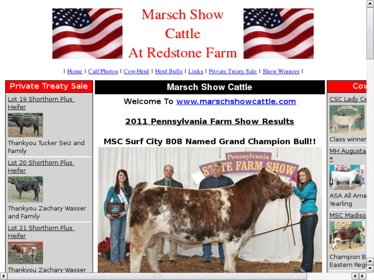 www.marschshowcattle.com