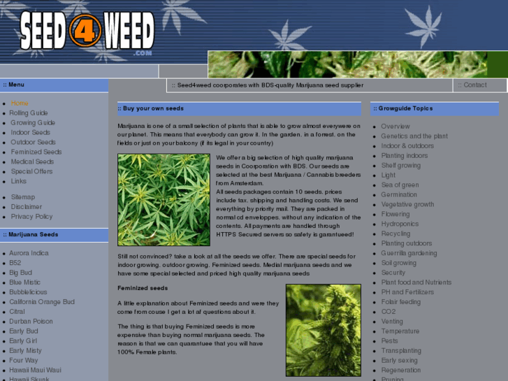 www.seed4weed.com