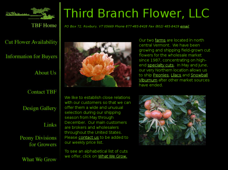 www.thirdbranch.com