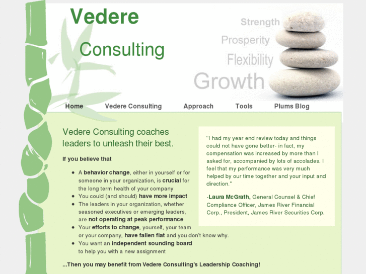 www.vedereconsulting.com