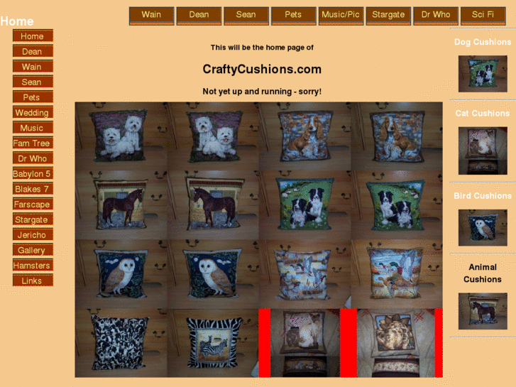 www.craftycushions.com