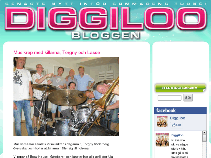 www.diggilooblogg.com