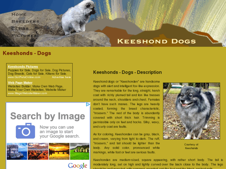 www.keeshond-dogs.com