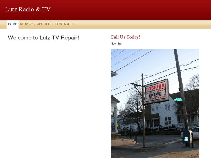www.lutztvrepair.com