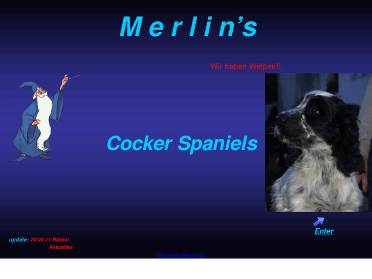 www.merlins-cockerspaniels.com