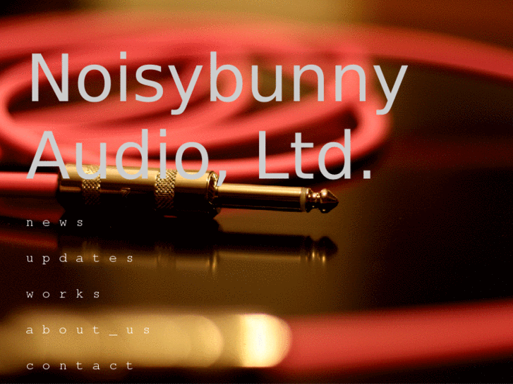 www.noisybunny.com