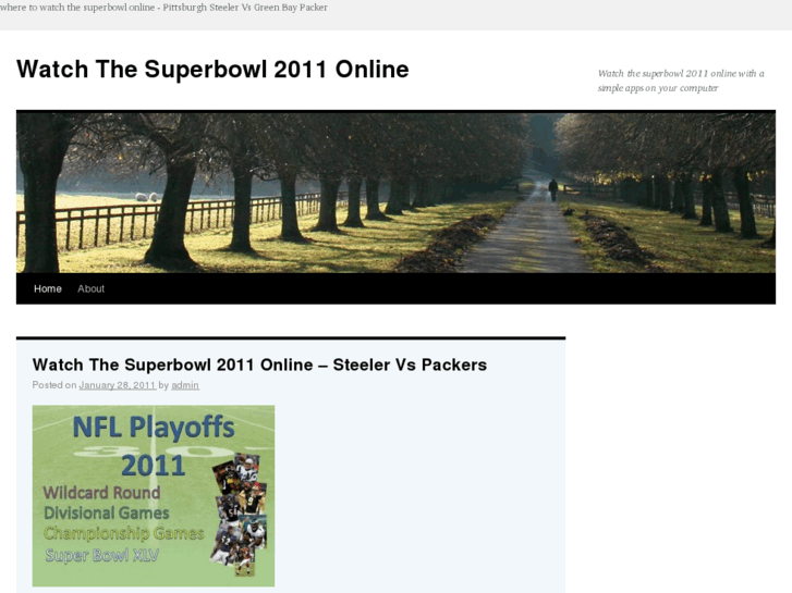 www.watch-the-superbowl-online.net