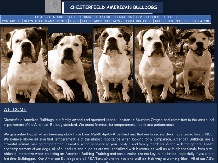 www.chesterfieldamericanbulldogs.com