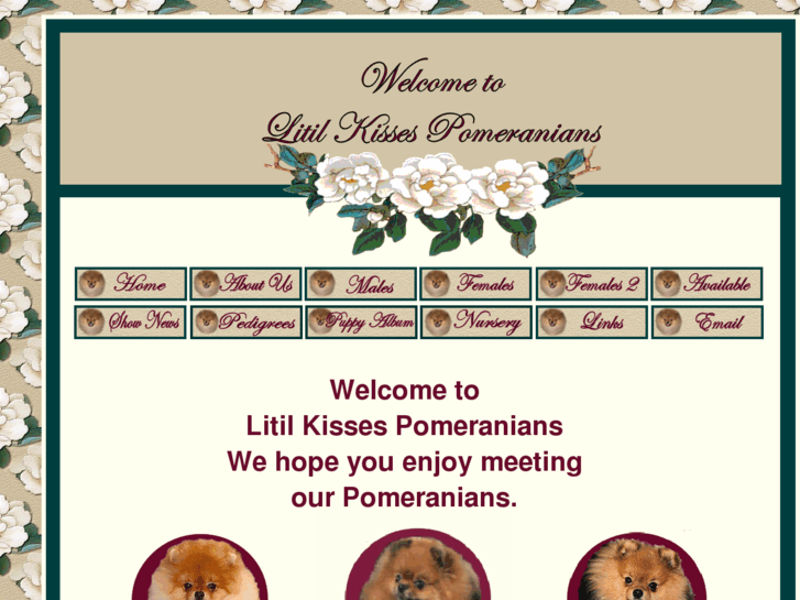 www.litilkissespomeranians.com