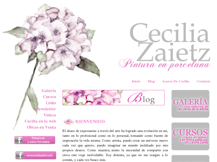 www.ceciliazaietz.com