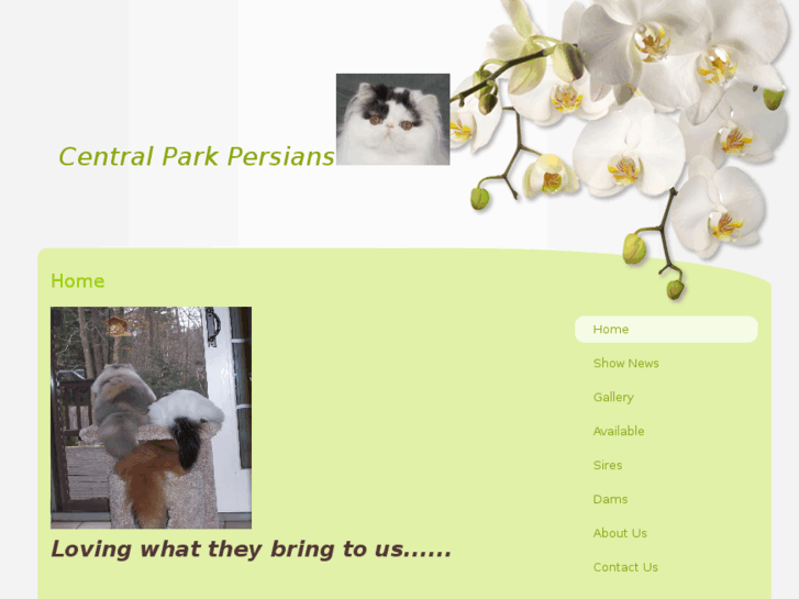 www.centralparkpersians.com